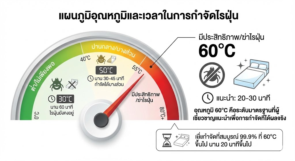 กราฟแสดงอุณหภูมิที่ไรฝุ่นตาย 60 องศาเซลเซียส นาน 20 นาที
